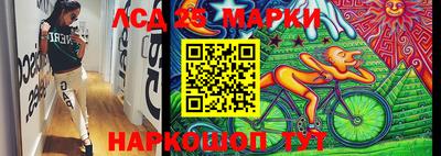 шишки Кингисепп