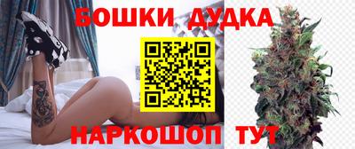 шишки Кингисепп