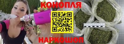 спайс Кинель