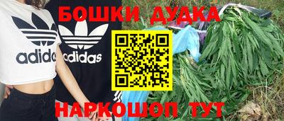 спайс Кинель