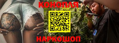 шишки Кингисепп